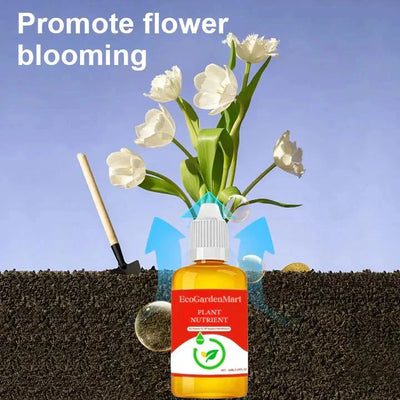 2+1 Gratis | PflanzenKraft™ Natürlicher Wachstumsboost