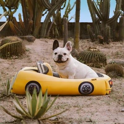 TurboPaws - Konvertierbares Rennwagen-Haustierbett