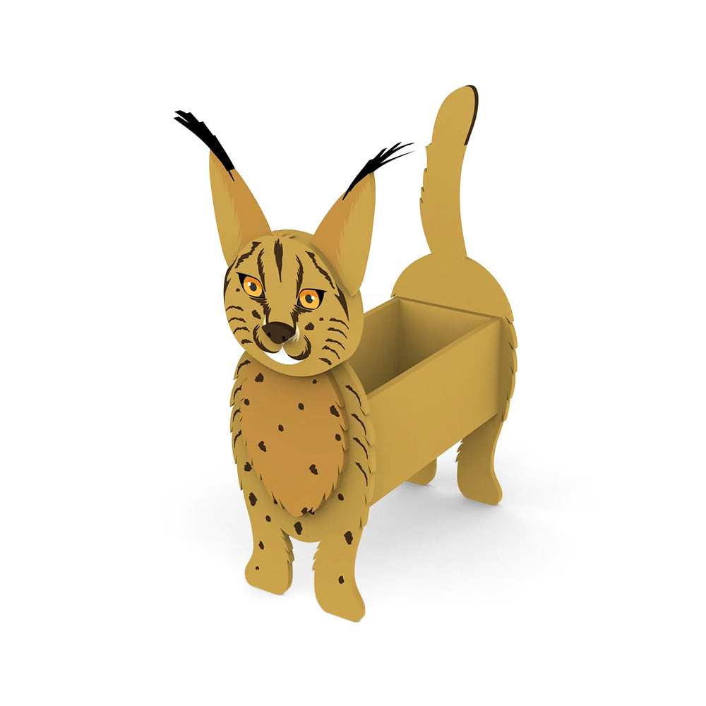 Luchs Blumenpflanze Topf