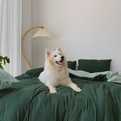 EtherealNest Set - Elegantes Duo Bettwäsche-Set