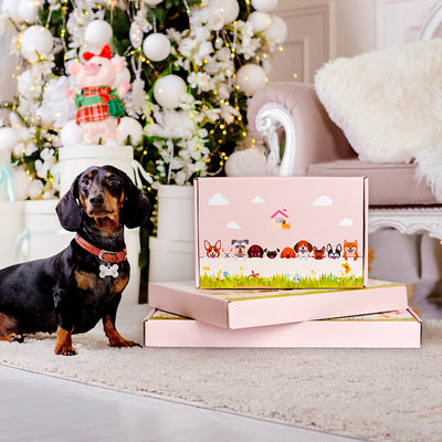 Schwarzer Pudel Pflanztopf