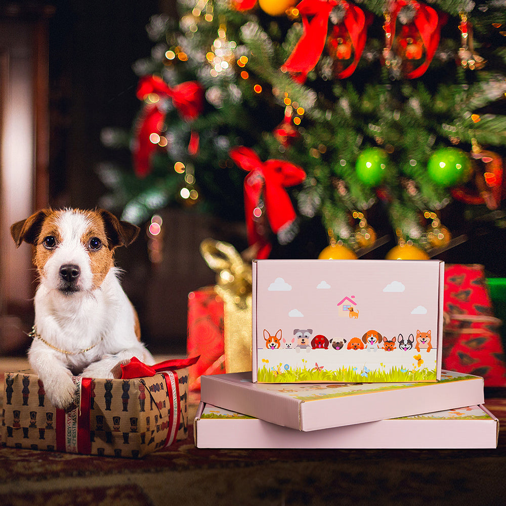 Grauer Wolf Pflanzgefäß