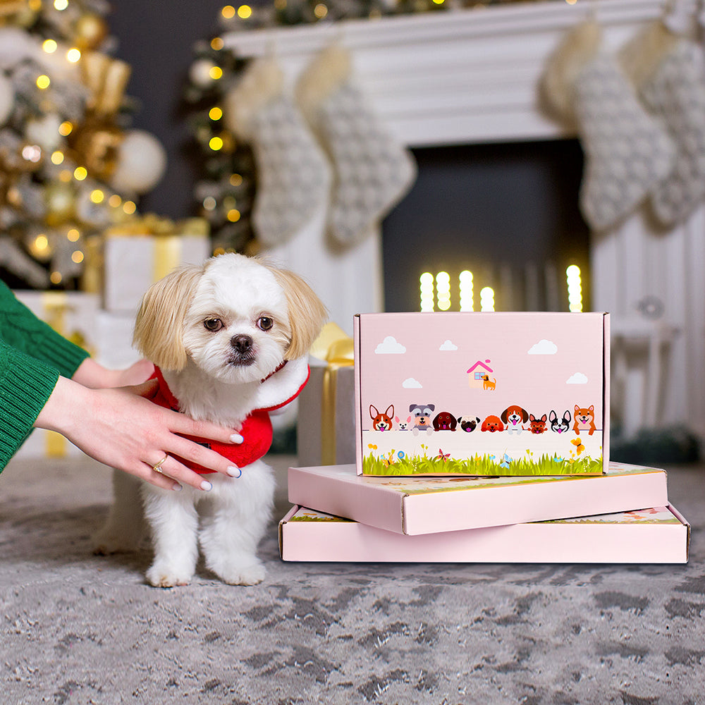 Armadillo Flower Pot