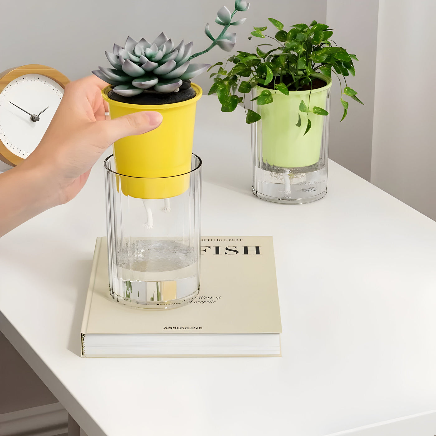 TranspaGrow Pot – 5er-Pack Selbstbewässernde Sukkulenten-Pflanztöpfe