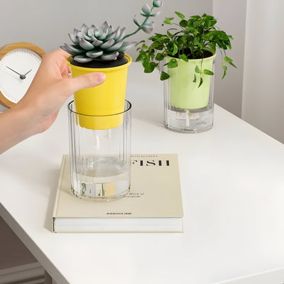 TranspaGrow Pot – 5er-Pack Selbstbewässernde Sukkulenten-Pflanztöpfe