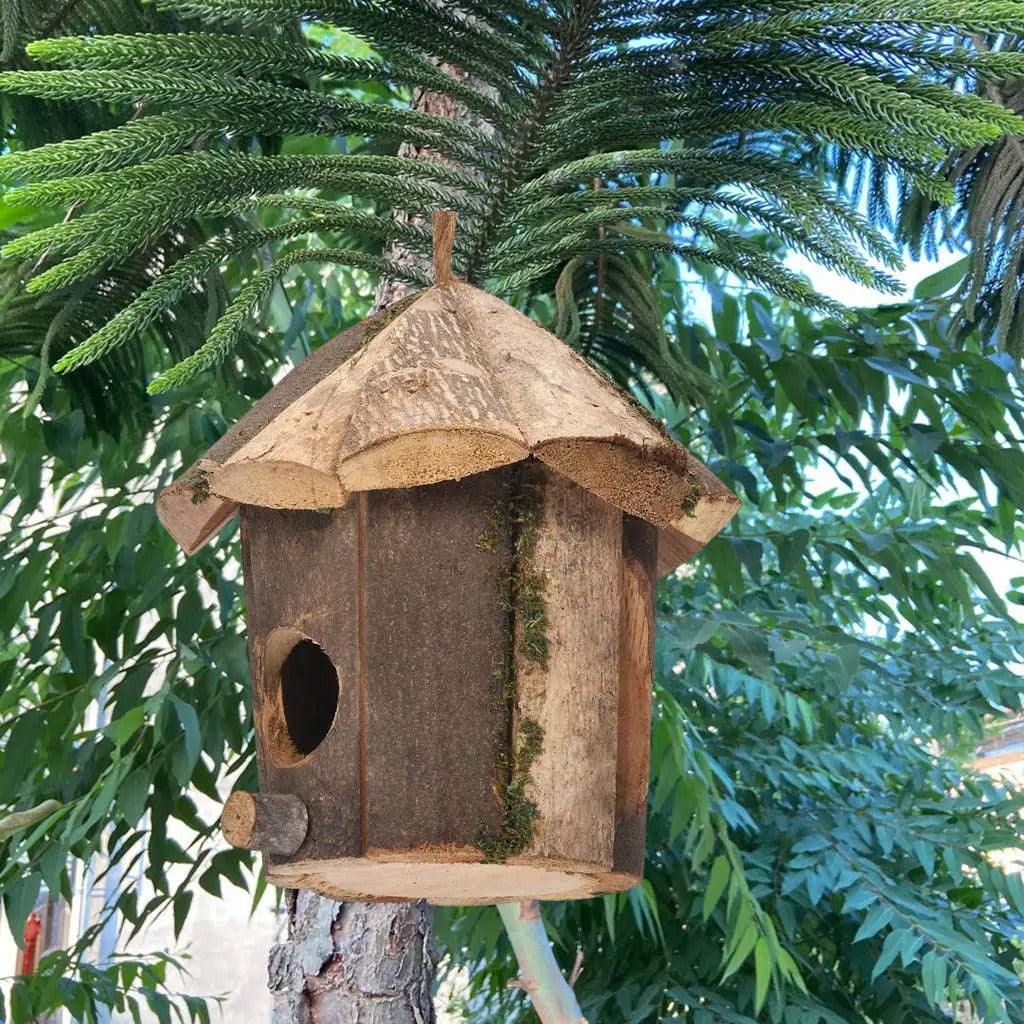 RusticWing Nest - Außenbereich Hängendes  Holz  Vogelnest