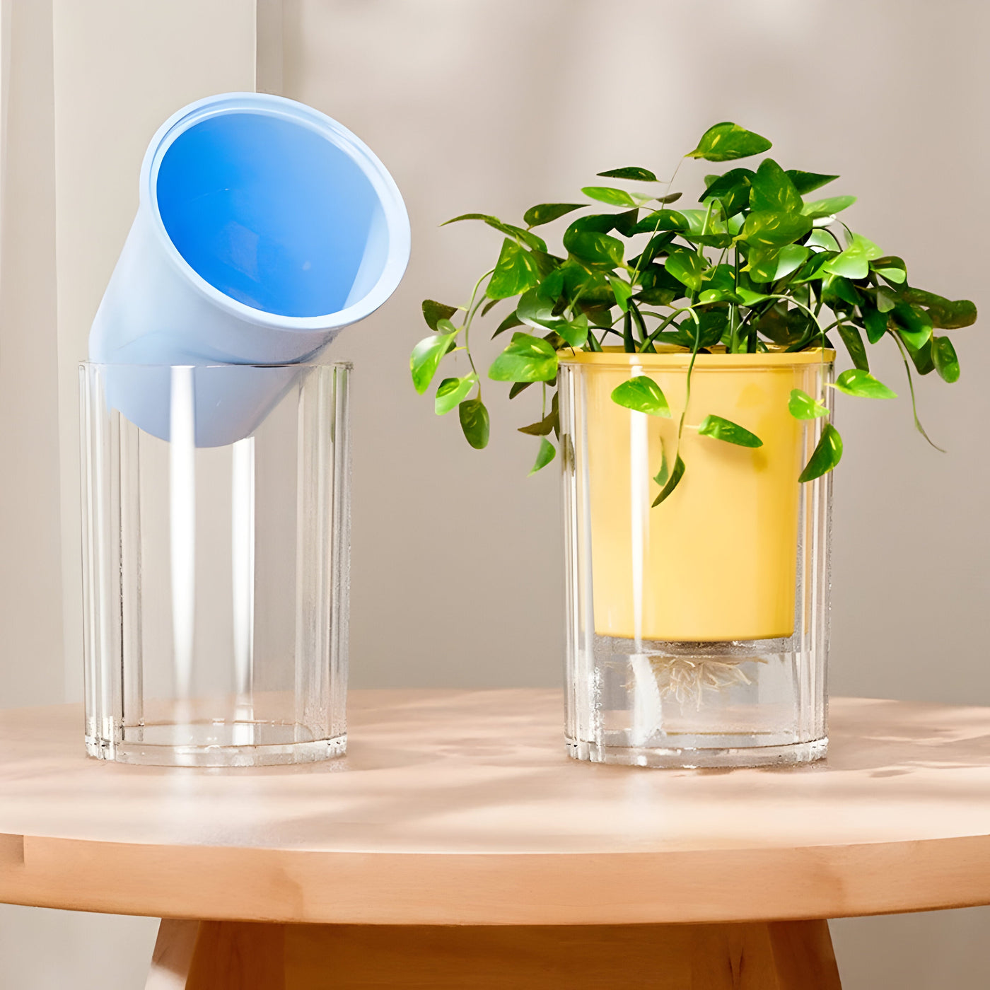 TranspaGrow Pot – 5er-Pack Selbstbewässernde Sukkulenten-Pflanztöpfe