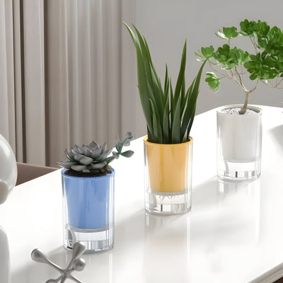 TranspaGrow Pot – 5er-Pack Selbstbewässernde Sukkulenten-Pflanztöpfe