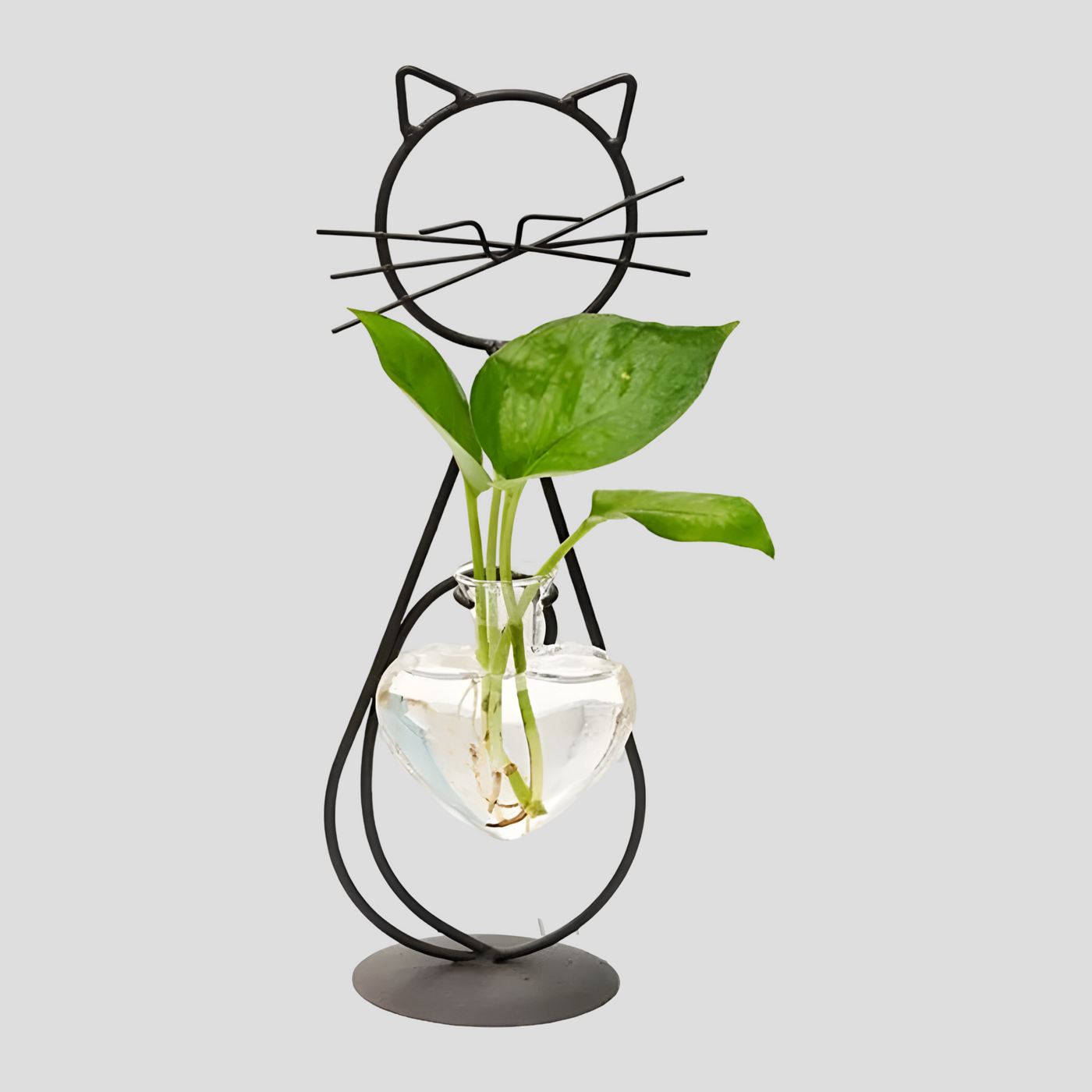 AquaPurr Vase - Hydroponische Glas-Herz-Vase mit Katzenförmigem Halter