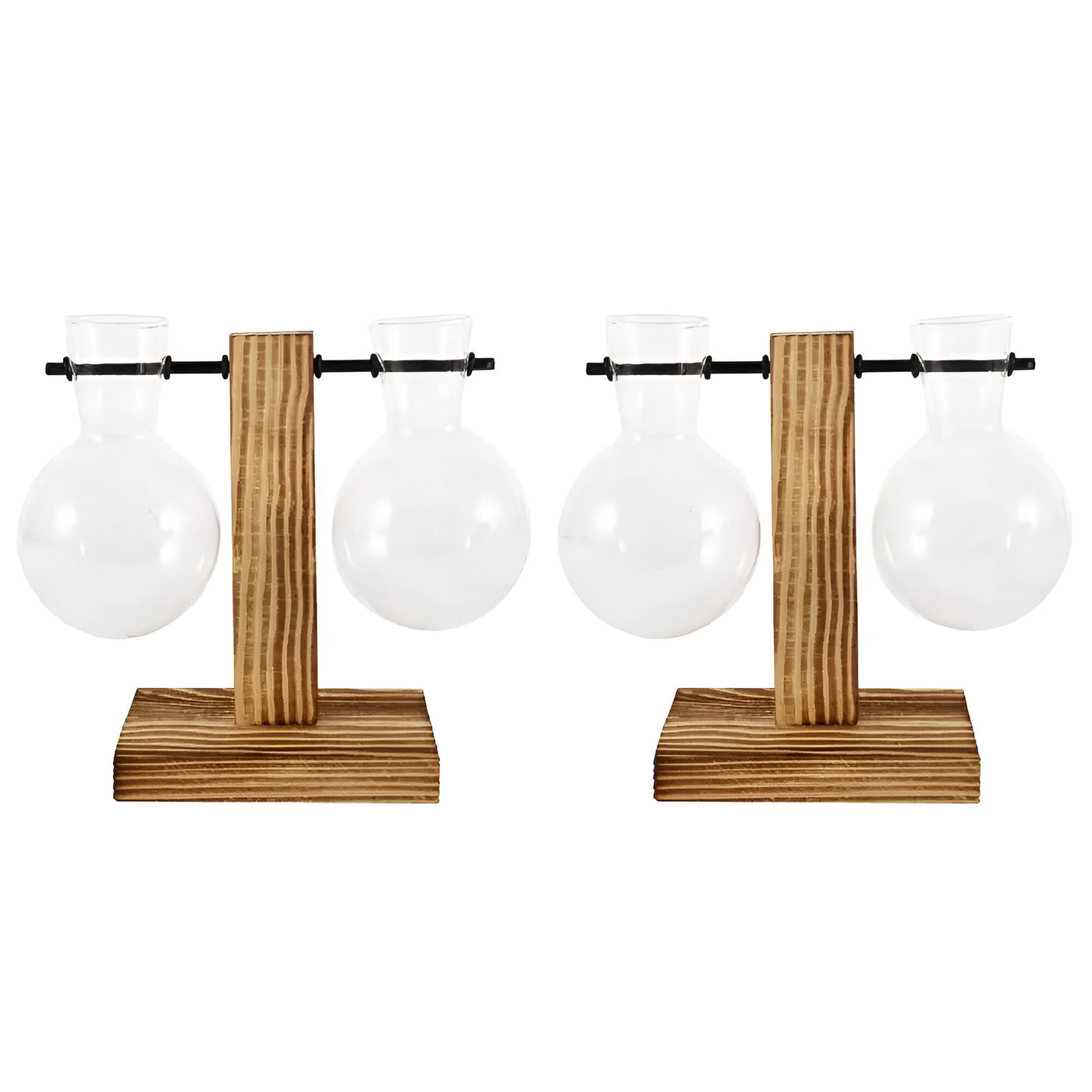 GlassHaven Vase – Hydroponisches Glasgefäß mit Holzständer