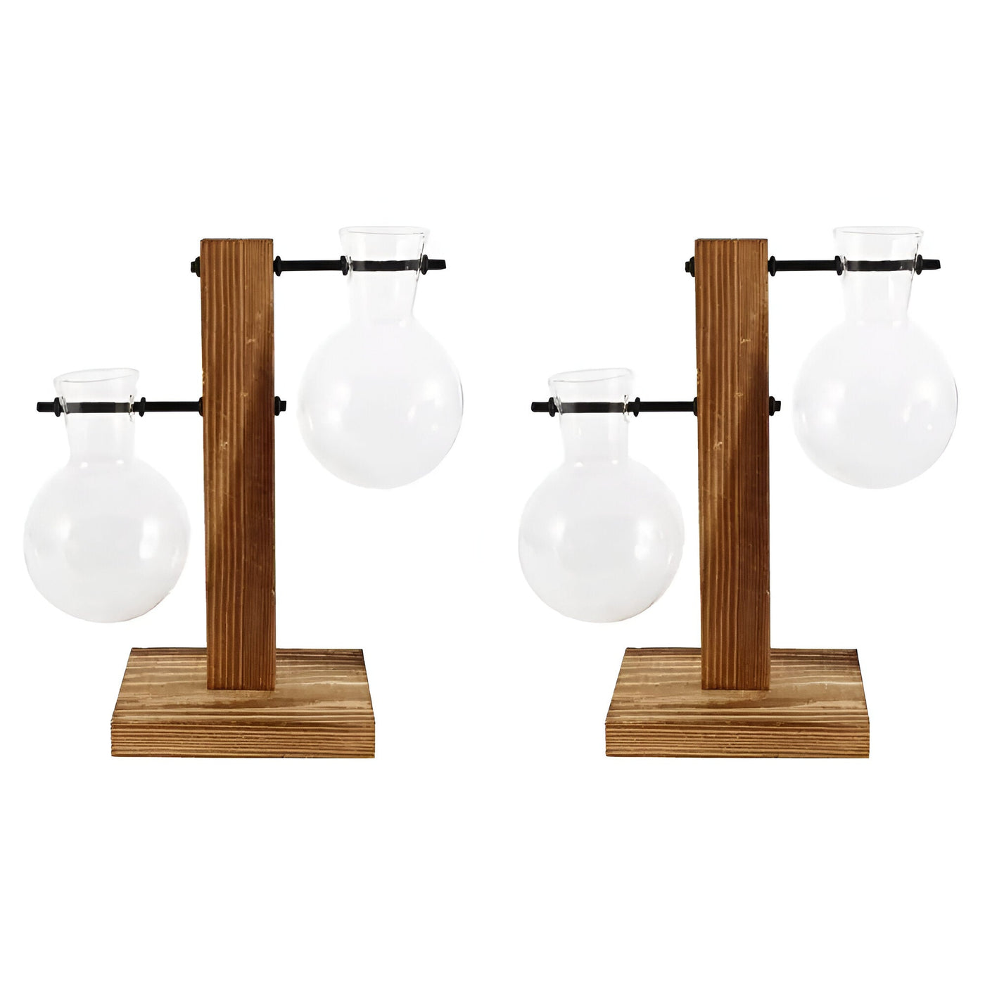 GlassHaven Vase – Hydroponisches Glasgefäß mit Holzständer